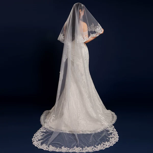 Silhouette Braid Wedding Veil Accessory - Image 3